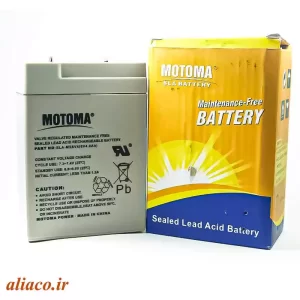 battery 6v-2